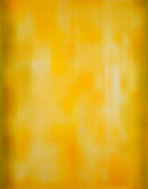 Untitled 4Z1, 2020. 236 x 185 cm